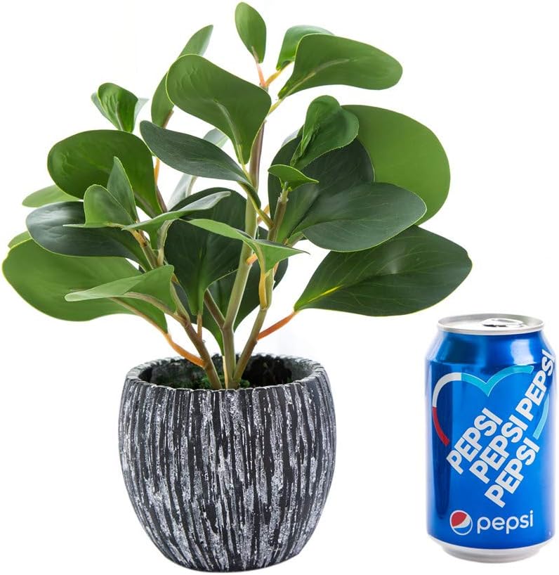 AlphaAcc Artificial Plants Decor Greenery Fake Succulents Indoor Potted Fake Plant with Rustic Black Clay Planter for Home Decor Farmhouse Room Bathroom Bedroom Kitchen Office Table Decor