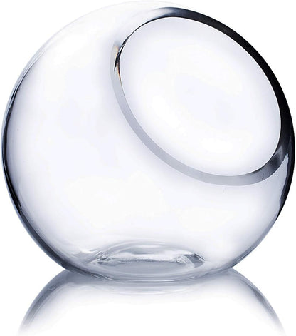 WGVI Clear Slant Cut Bowl Glass Vase, Glass Terrarium, Candy Dish, Glassware, Slant Open: 7". Height: 6" x 2.7". Base: 4" (1 Piece)