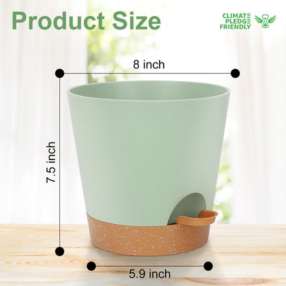 YNNICO Indoor Self Watering Planters with Drainage Holes and Saucers, 8, 7, 6.5, 6, 5.5, 5 Inches, Black, 6 Pots