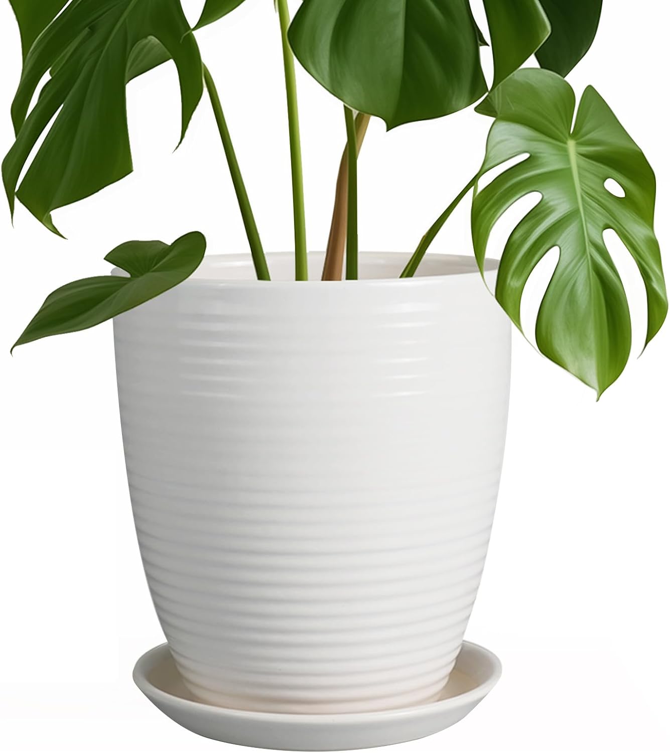 Ceramic Pots for Plants - 6 Inch Plant Pot with Drainage Hole and Saucer, Round Planters for Indoor Outdoor, Flower Pots, Modern Planter, Home Office Room Decor, Gifts for Plant Lovers, White