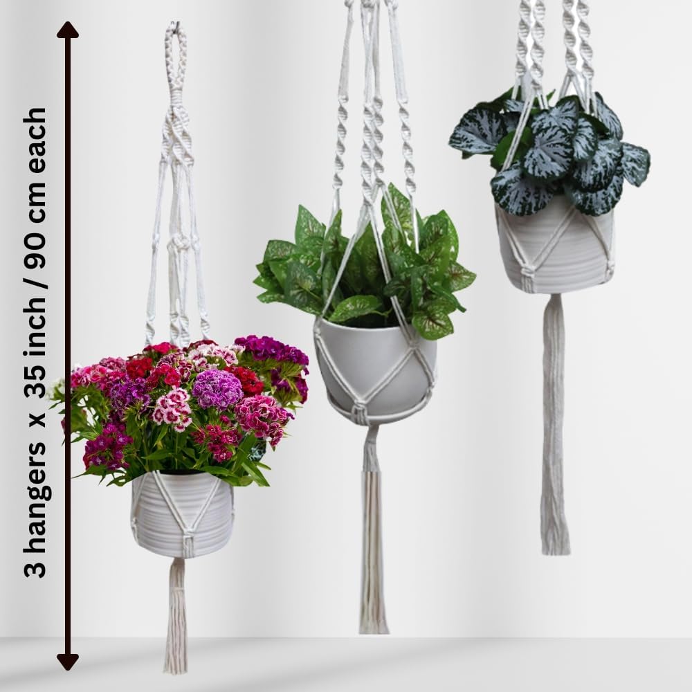 feedee Macrame Plant Hangers Indoor Macrame Hanging Planters for Indoor Plants, 6 Pack Hanging Plant Holders Indoor Hanging, Macromay Plant Hangers for Indoor Plant Hanger, Outdoor Flower Pots Holder