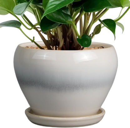 Ceramic Modern Glaze Succulent Planter Pot with Drainage Hole and Saucer 6 Inch Round Flower Plant Pot for Indoor Outdoor Herb Snake Plants
