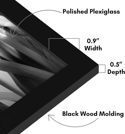 Americanflat 16x20 Picture Frame with Polished Plexiglass - Black Picture Frame - Wide Photo Frames Made of Engineered Wood for Vertical or Horizontal Wall Display - Epic Collection - Black - Colors A