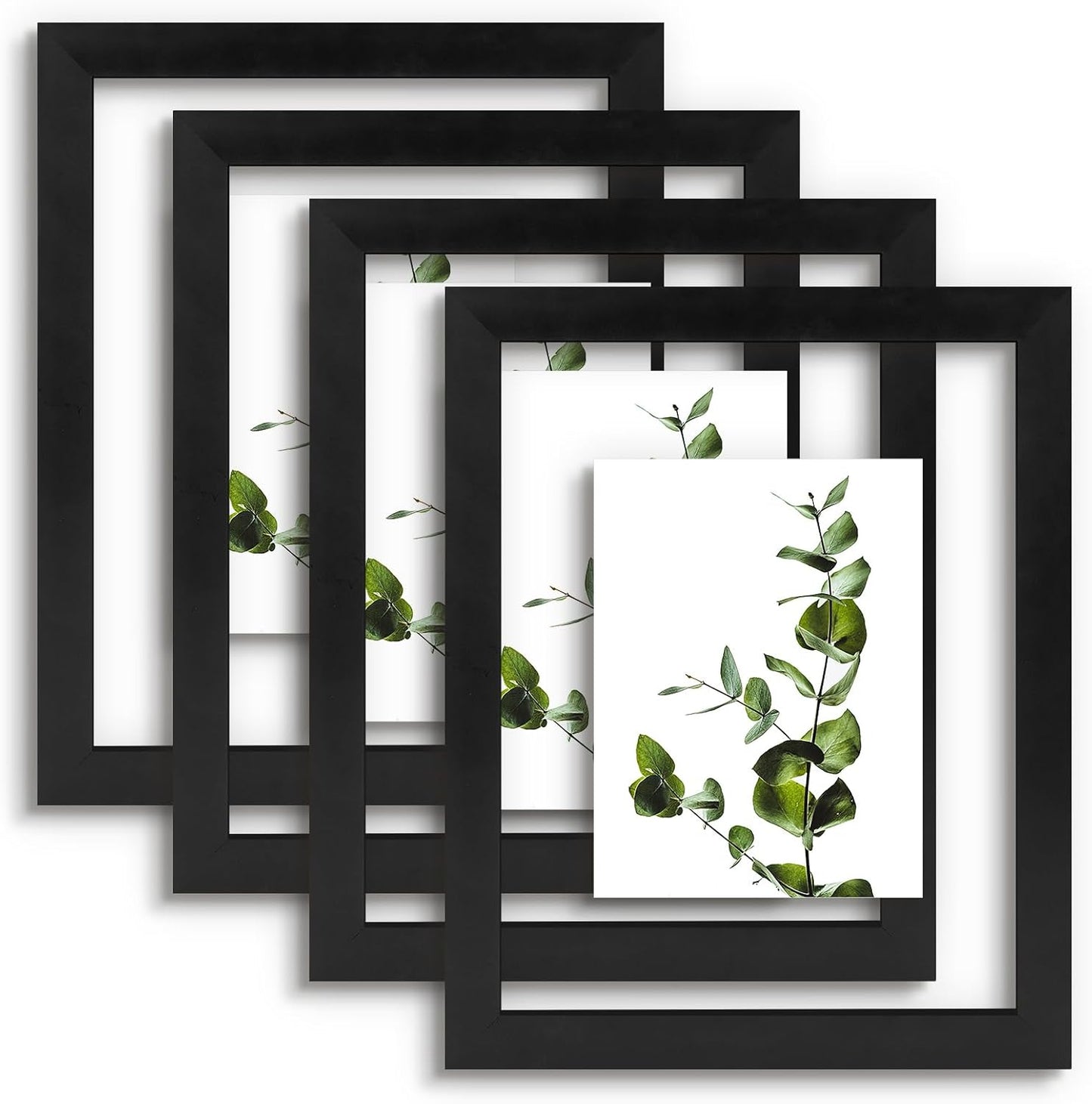 Golden State Art, 11X14 Floating Picture Frame, Black Wood Frame Display Any Size Photo Up To 11X14, Pressed Flower Frames with Hanging Hardware - Horizontal And Vertical Formats for Wall