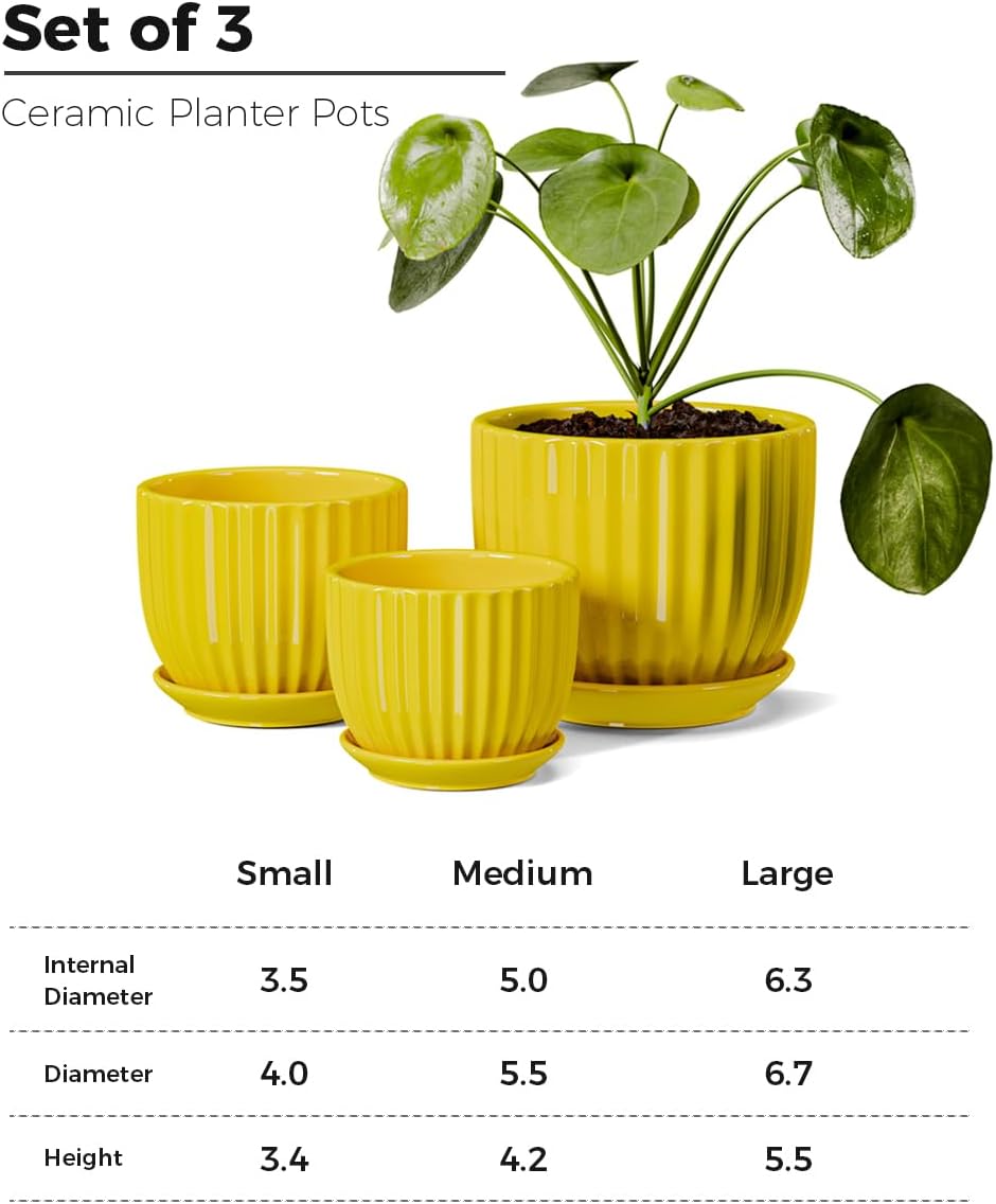 Ton Sin Pink Gold Ceramic Flower Pots, 4"+5"+6" Inch Small Glazed Succulent Planters with Drainage Hole,Modern Indoor Decorative Plant Pots Set of 3,Garden Pots with Saucer