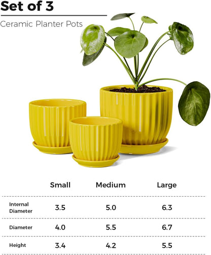 Ton Sin Pink Gold Ceramic Flower Pots, 4"+5"+6" Inch Small Glazed Succulent Planters with Drainage Hole,Modern Indoor Decorative Plant Pots Set of 3,Garden Pots with Saucer