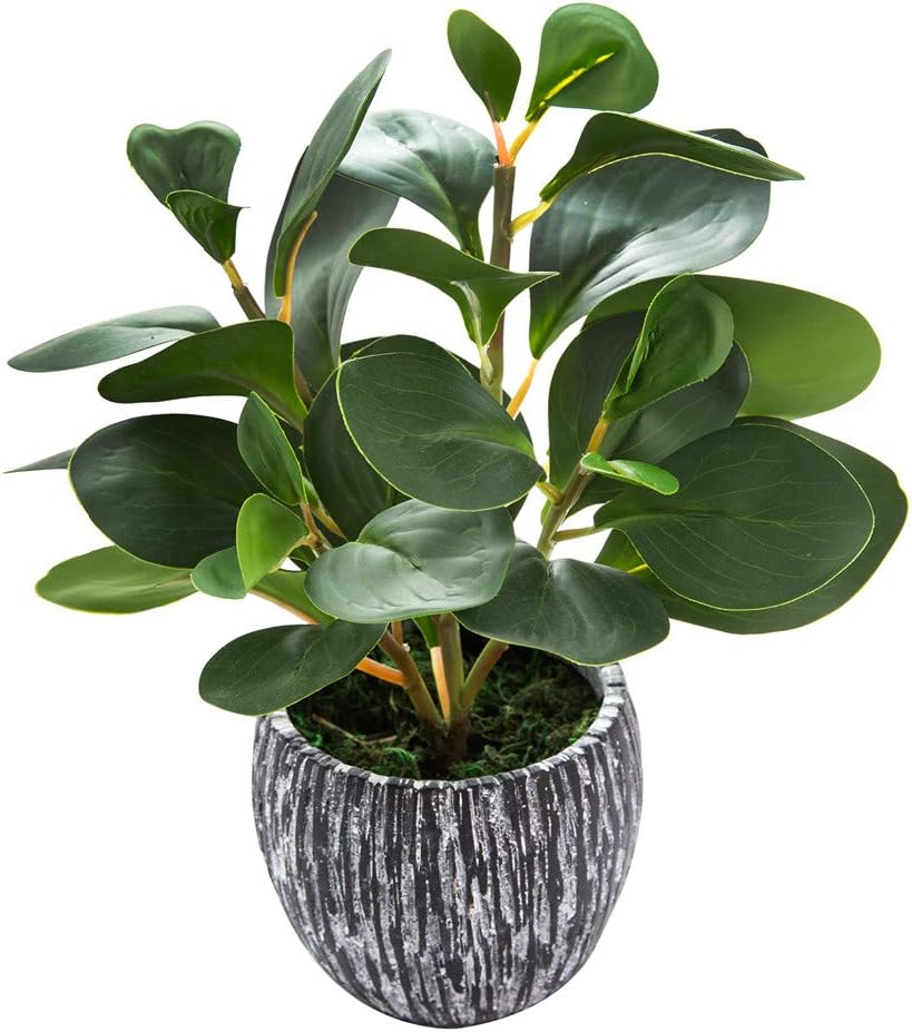 AlphaAcc Artificial Plants Decor Greenery Fake Succulents Indoor Potted Fake Plant with Rustic Black Clay Planter for Home Decor Farmhouse Room Bathroom Bedroom Kitchen Office Table Decor