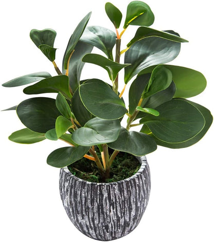 AlphaAcc Artificial Plants Decor Greenery Fake Succulents Indoor Potted Fake Plant with Rustic Black Clay Planter for Home Decor Farmhouse Room Bathroom Bedroom Kitchen Office Table Decor