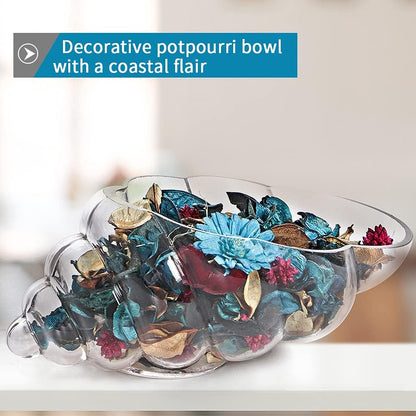 MDLUU Glass Shell Vase, 11-Inch Seashell Potpourri Holder, Large Decorative Conch Bowl for Shell Collection Display, Sea Glass, Air Plant