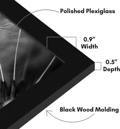 Americanflat 16x20 Picture Frame with Polished Plexiglass - Black Picture Frame - Wide Photo Frames Made of Engineered Wood for Vertical or Horizontal Wall Display - Epic Collection - Black - Colors C