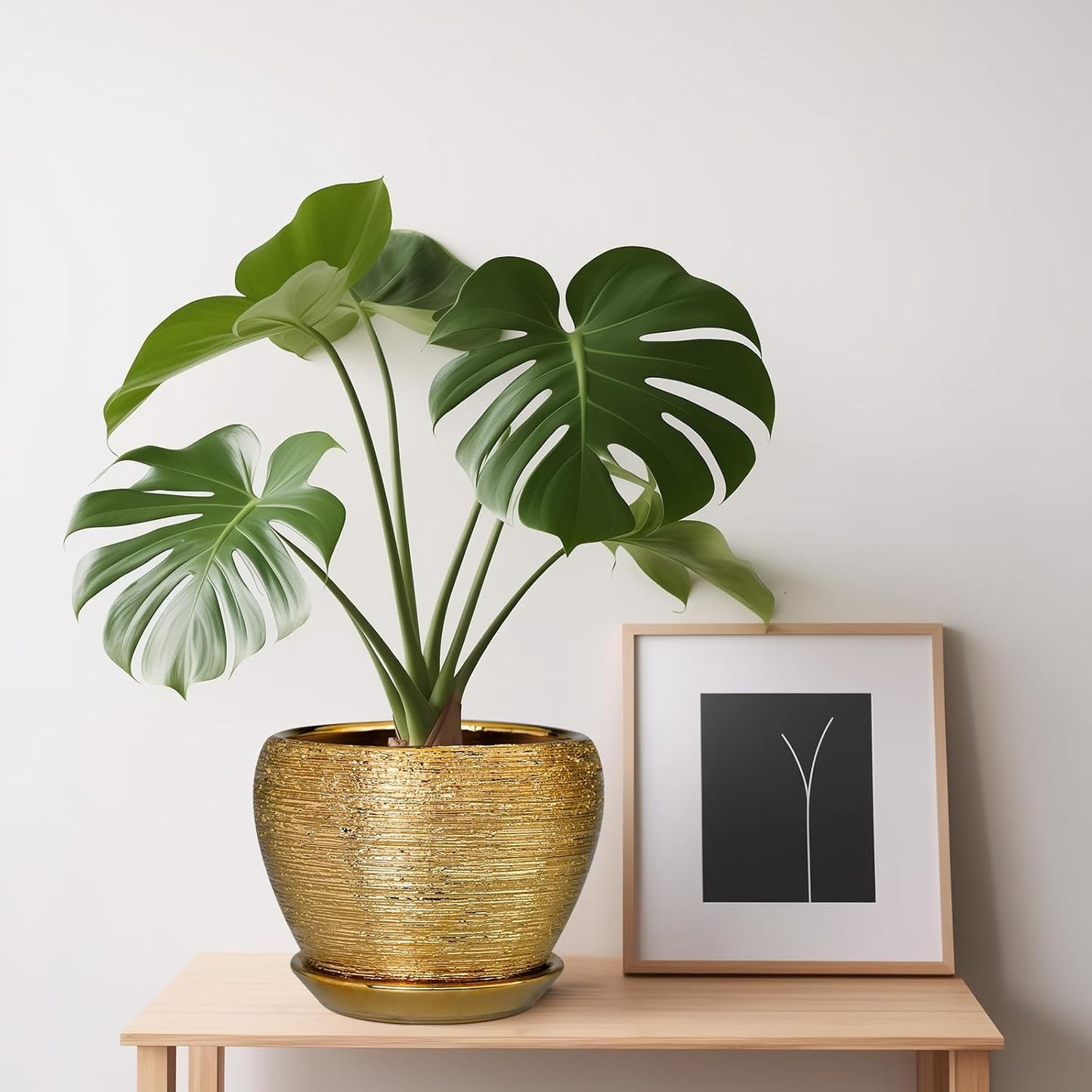 Ceramic Modern Glaze Succulent Planter Pot with Drainage Hole and Saucer 6 Inch Round Flower Plant Pot for Indoor Outdoor Herb Snake Plants