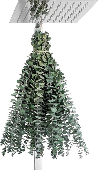 10 Pcs Dried Eucalyptus Stems 17" Real Eucalyptus for Shower Hanging 100% Made from Fresh Leaves, Wedding, Home, Farmhouse, DIY Spring Decor Bathroom Decor Home Decor