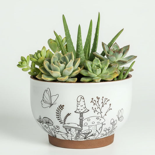 YBX 8 Inch + 6 Inch Ceramic Plant Pots, Succulent Flower Pots with Drainage Holes, Terracotta Planters for Indoor Plants, White&Terracotta (Garden)