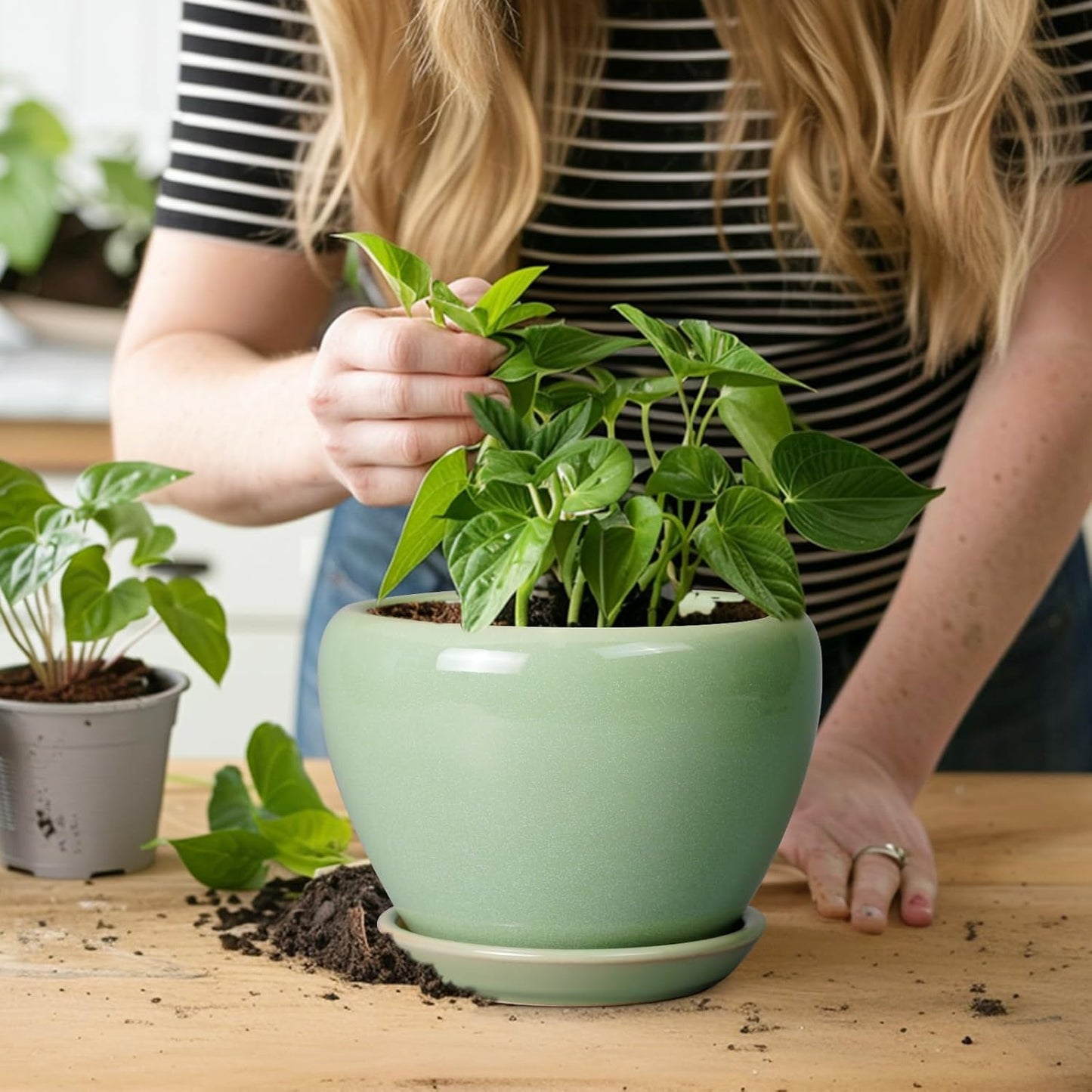 Ceramic Modern Glaze Succulent Planter Pot with Drainage Hole and Saucer 6 Inch Round Flower Plant Pot for Indoor Outdoor Herb Snake Plants