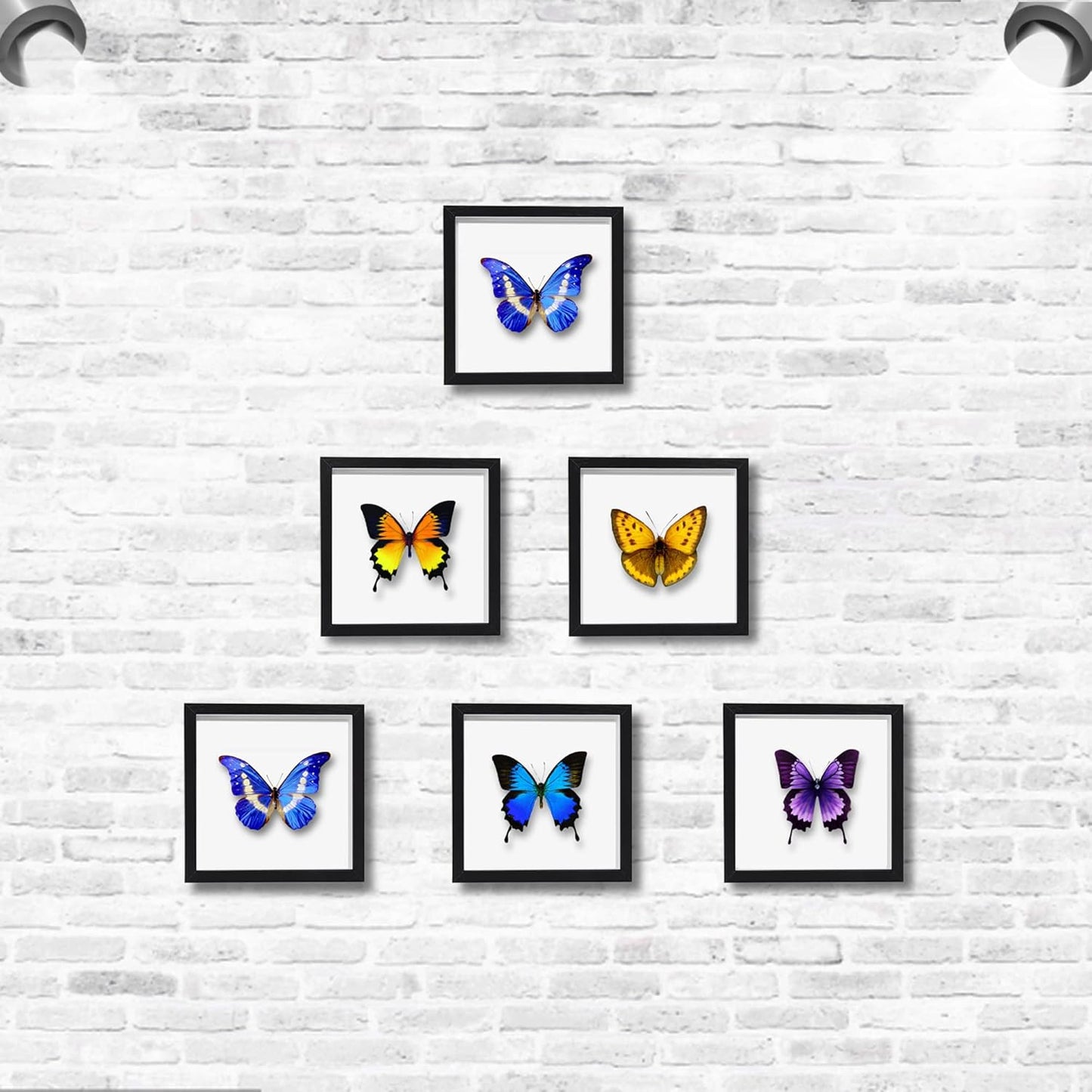 8x8 Shadow Box Frame Display Case with Letter Stickers, 3D Picture Frame, Display Case Box for Memorabilia, Baby Items, Wedding Memories, Crafts, Tickets and Photos (White, 8x8)