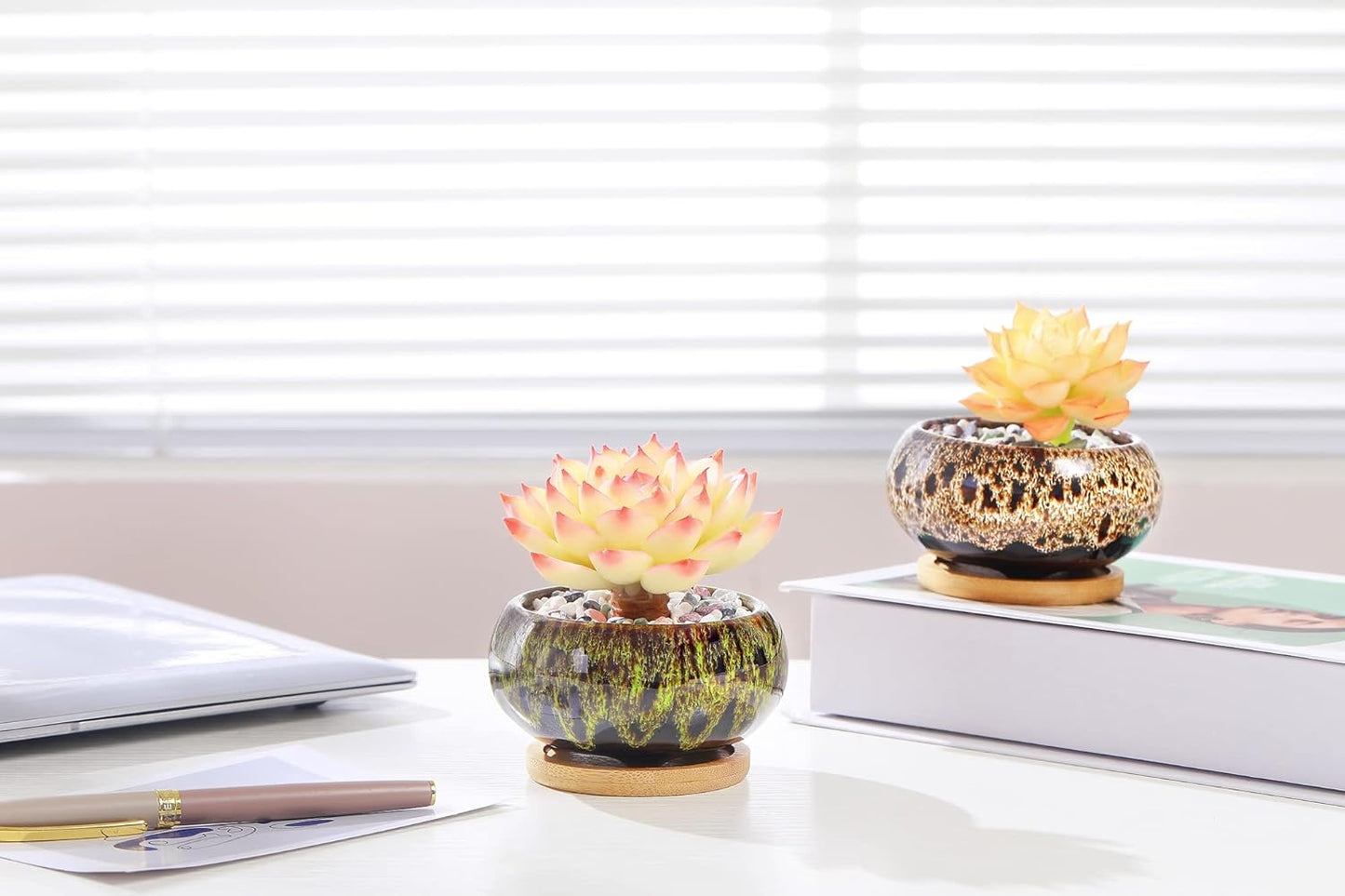 Cute Ceramic Succulent Garden Pots, Planter with Drainage and Attached Saucer, Set of 5 -Plants Not Included (Round)