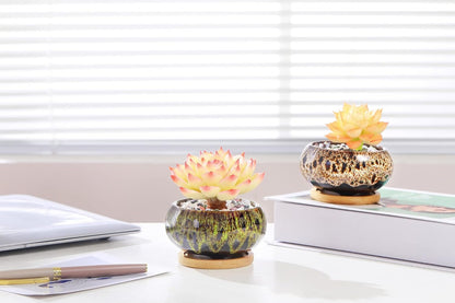 Cute Ceramic Succulent Garden Pots, Planter with Drainage and Attached Saucer, Set of 5 -Plants Not Included (Round)