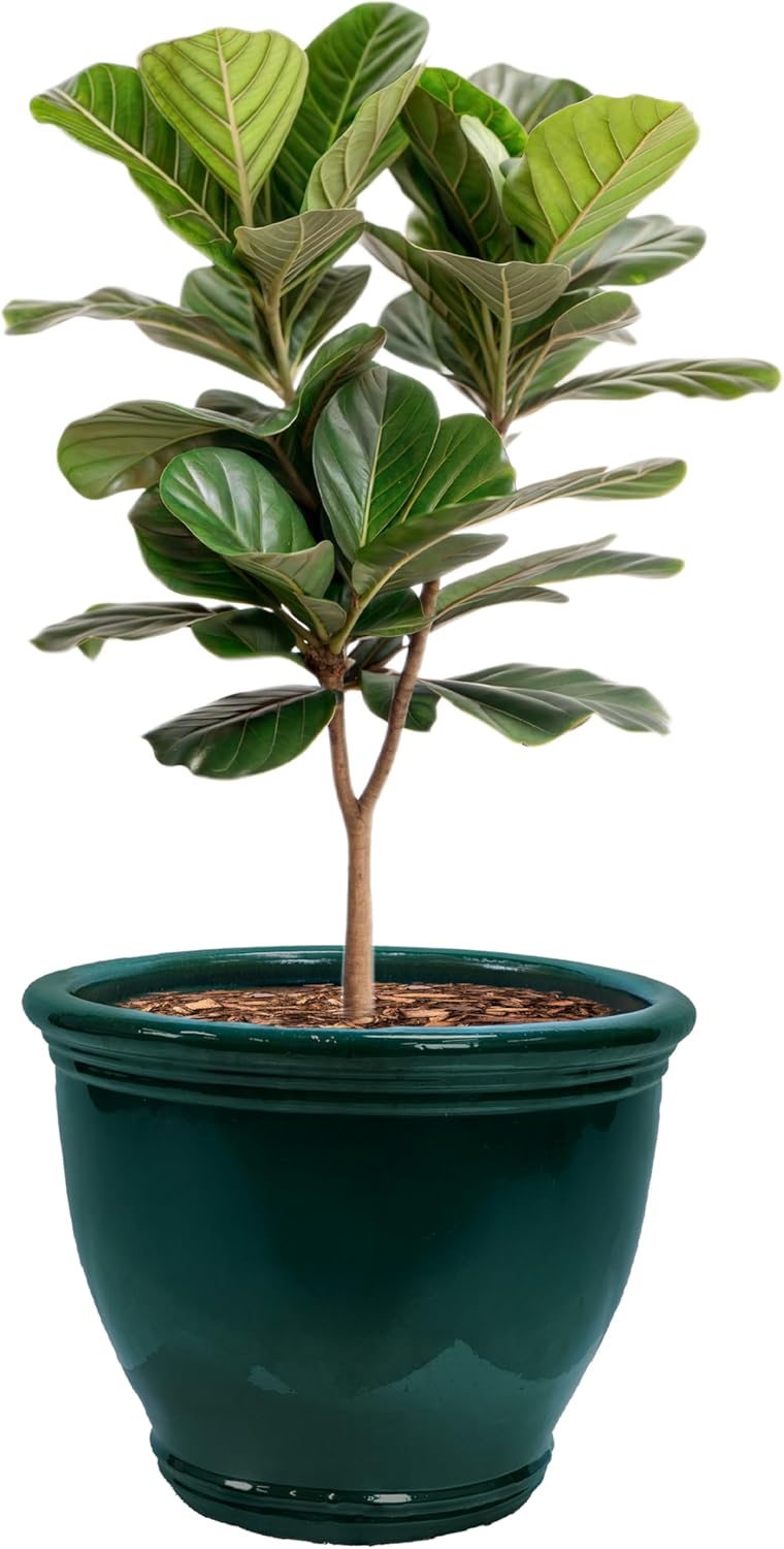 Sunnydaze Large Ceramic Plant Pot - Round Outdoor Glazed Ceramic Planter Pot with Drainage - Studio - Imperial Blue - 18.5"