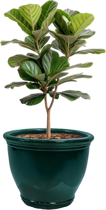 Sunnydaze Large Ceramic Plant Pot - Round Outdoor Glazed Ceramic Planter Pot with Drainage - Studio - Imperial Blue - 18.5"
