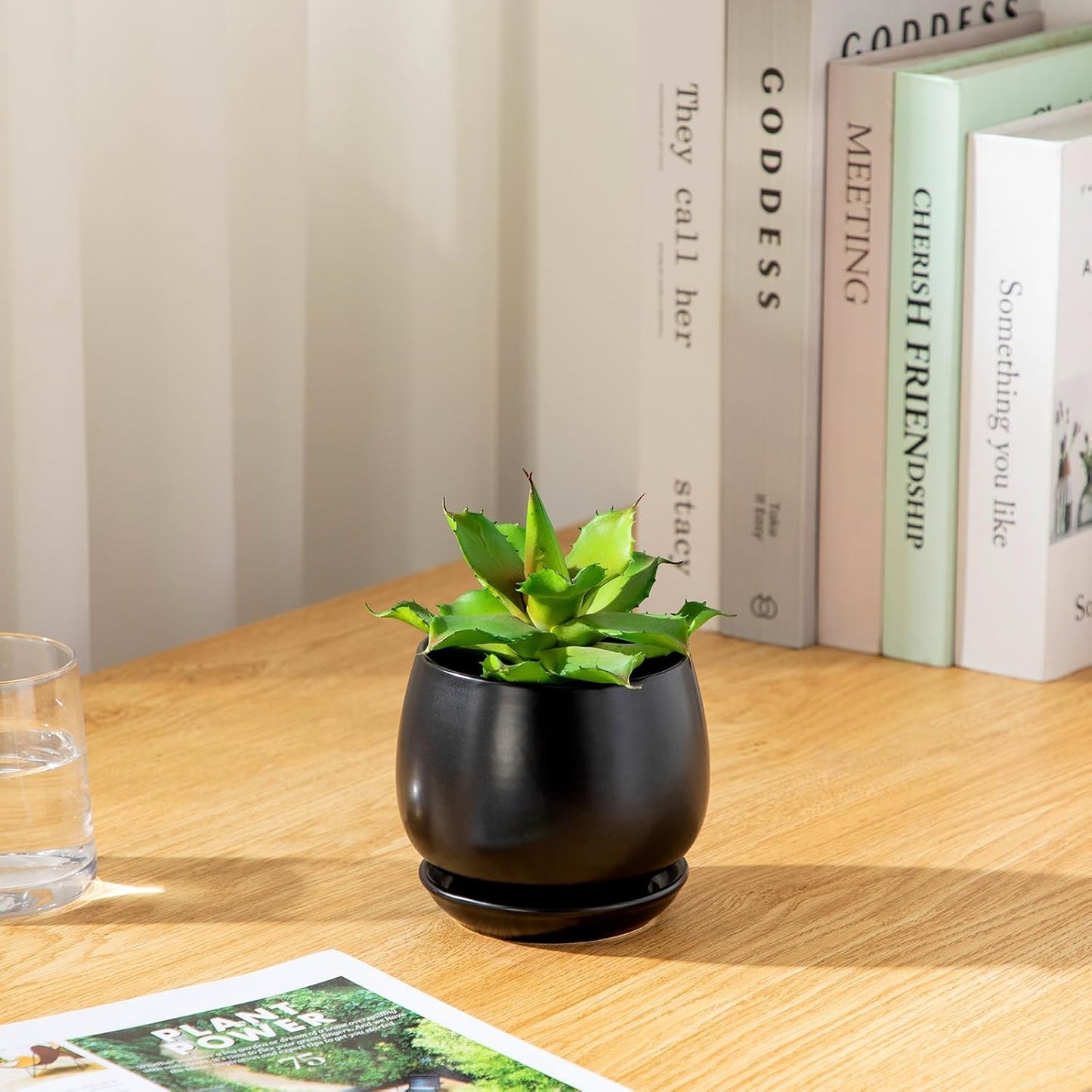 vancasso 3-Pack Ceramic Plant Pots, 3.7/4.8/6.2 Inch Indoor Planters with Saucers & Drainage Hole Planter pots for Indoor Plants and Flower, White