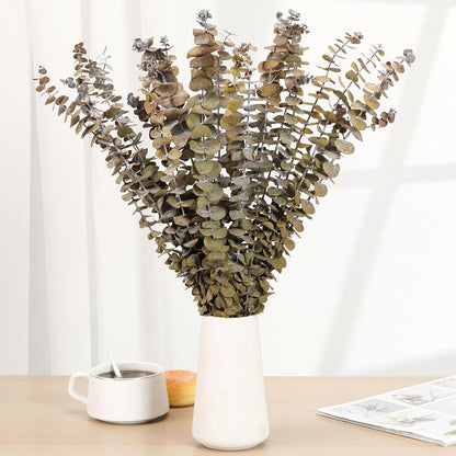 Tavkite 16 Pcs Dried Eucalyptus Stems, 17'' Natural Fresh Eucalyptus Leaves Branches Hanging for Shower, Preserved Real Plant Live Greenery for Home SPA Wall Bathroom Wedding Party Vase Decor