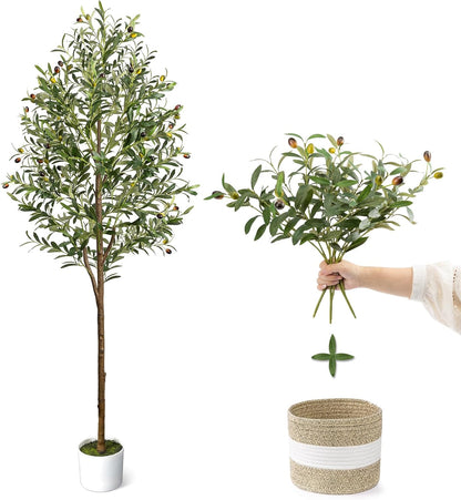 6FT Artificial Olive Tree - Indoor Tall Faux Olive Trees with Planter&Basket, Large Fake Olive Silk Tree Realistic Olive Plants with Branches and Fruits for Home Decor Office Living Room
