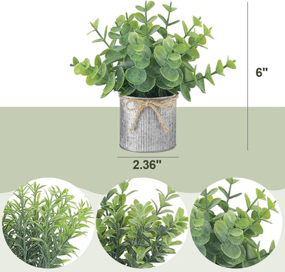 Mkono 3 Pack Small Fake Plants in Black Galvanized Metal Pots Artificial Eucalyptus Plants for Christmas Decorations Shelf Desk Home Farmhouse Room Coffee Table Bathroom Decor