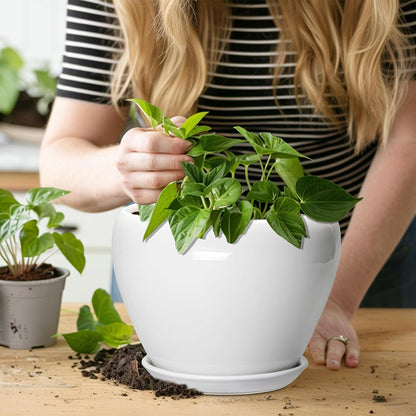 Ceramic Modern Glaze Succulent Planter Pot with Drainage Hole and Saucer 6 Inch Round Flower Plant Pot for Indoor Outdoor Herb Snake Plants