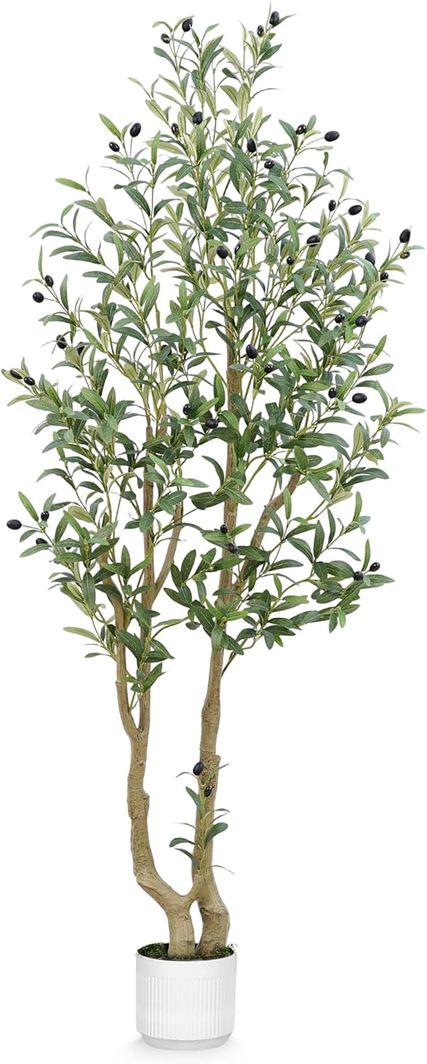 HZXGCP 6ft Artificial Olive Tree Indoor, Fake Olive Tree with White Pot, Faux Olive Tree with Dense Leaves & Realistic Fruits, Tall Artificial Plant for Home Living Room Office Entryway Decor