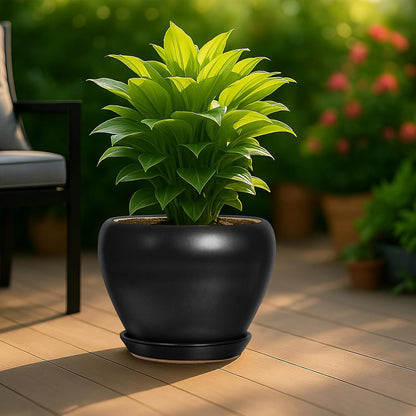 Deep Dream 6 Inch Plant Pots- Ceramic Planter Pot with Drainage Hole and Saucer, Round Flower Pot for Indoor Outdoor Succulent, Snake Plants and Cactus, Blue