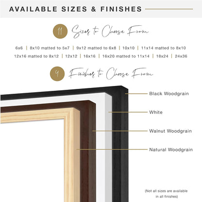 MCS Canvas Float Frames 8x10 Frame, Black Frame for Finished Canvases, Vertical & Horizontal Wall Hanging Frame with Adhesive for Canvas Paintings (1-Pack)