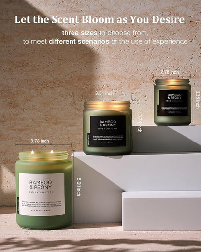 M&SENSE Eucalyptus & Mint Scented Jar Candle, Large 19.4oz Natural Soy Wax, 110-Hour Long Lasting Non-Toxic Clean Burning, Fresh Smelling Home Aromatherapy for Spa Stress Relief, Gifts for Men Women