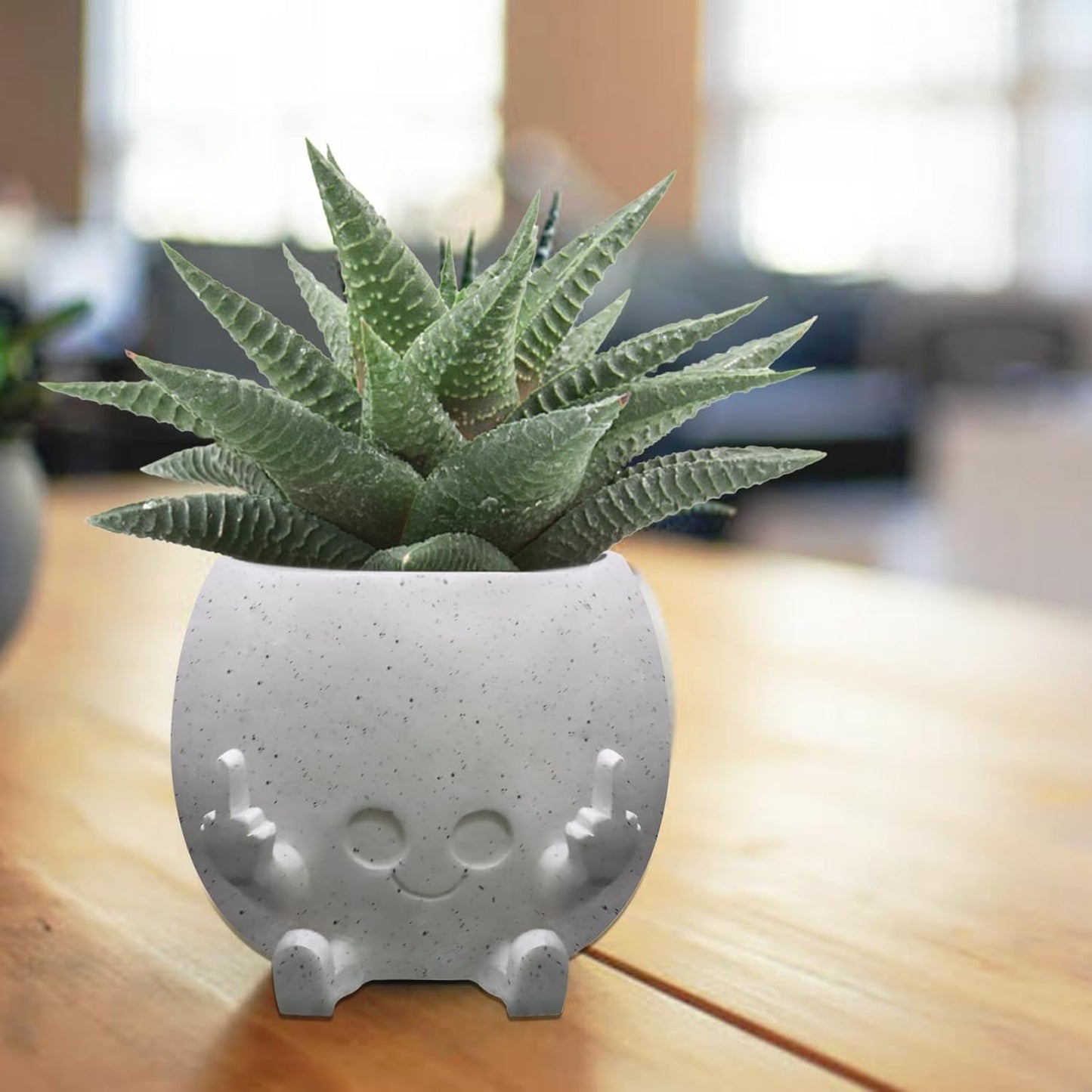 Smiling Plant Pot with Middle Fingers Up, Face Planter Pot Resin Flower Planters for Indoor Outdoor Plants Succulent Pots for String of Pearls Plant Live Gift Ideas for Mother (White)