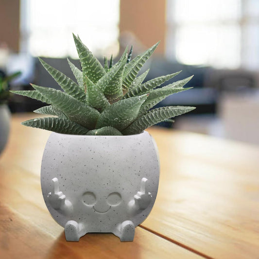 Smiling Plant Pot with Middle Fingers Up, Face Planter Pot Resin Flower Planters for Indoor Outdoor Plants Succulent Pots for String of Pearls Plant Live Gift Ideas for Mother (White)