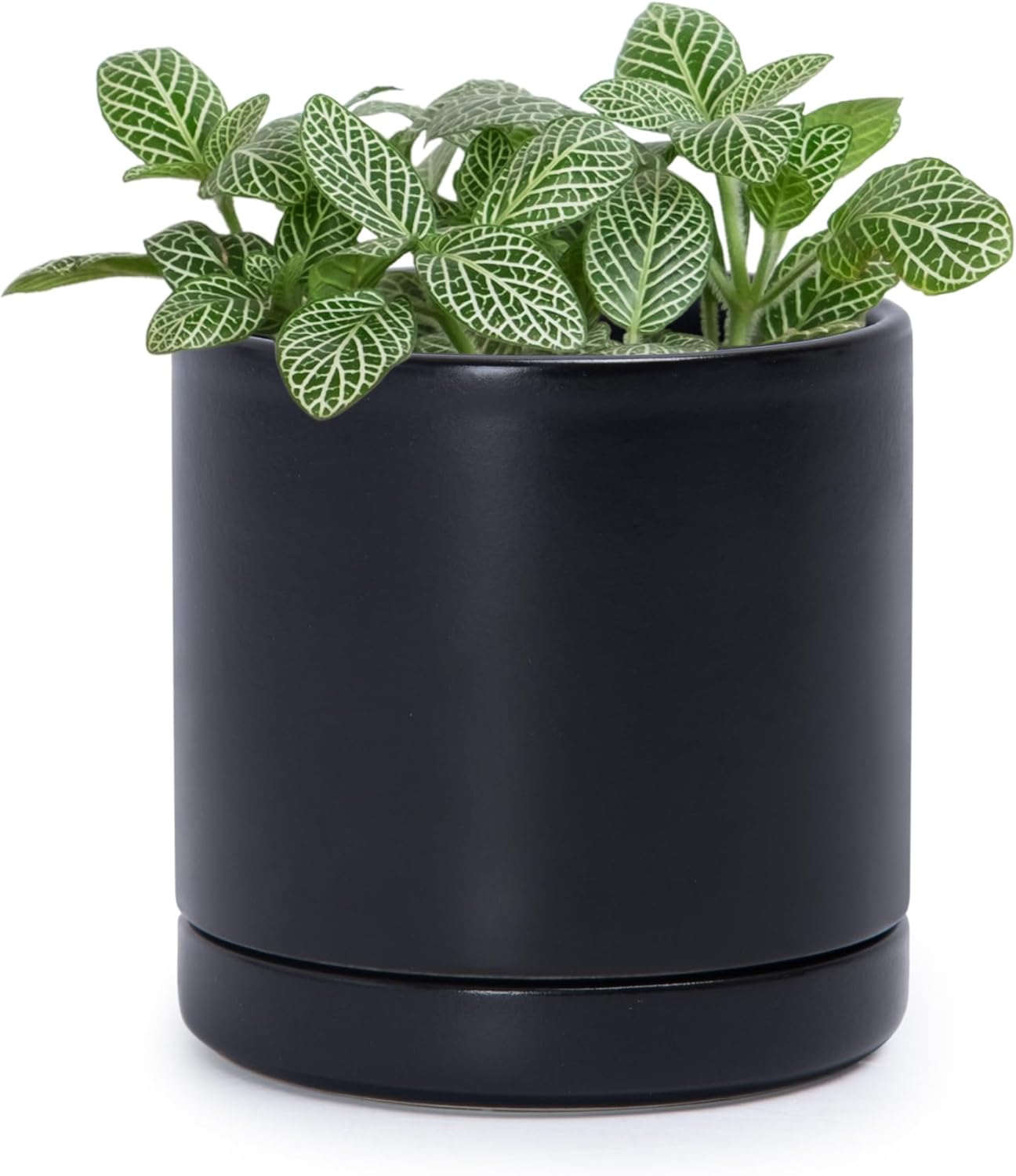 D'vine Dev 6.5 Inch Ceramic Planter Pot with Drainage Hole and Saucer, Indoor Cylinder Round Planter Pot, Olive, 94-O-C-J