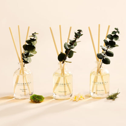 COCORRÍNA Eucalyptus Reed Diffuser Set of 3 - Lavender Eucalyptus, Black Forest, Clean Cotton Scents, 1.7 fl oz Each, Total 5.1 oz, Scented Oil Diffusers for Home & Office﻿