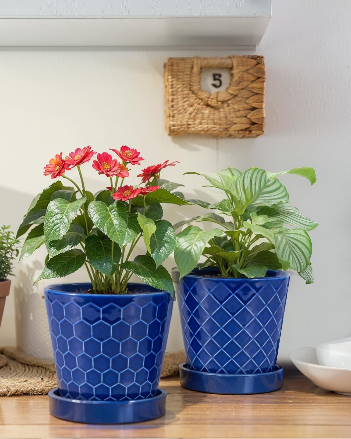 EFISPSS Flower Planter –5 inch Ceramic Plant Pots with Drainage Hole and Ceramic Tray - Gardening Home Desktop Office Windowsill Decoration Gift Set of 4 - Plants NOT Included