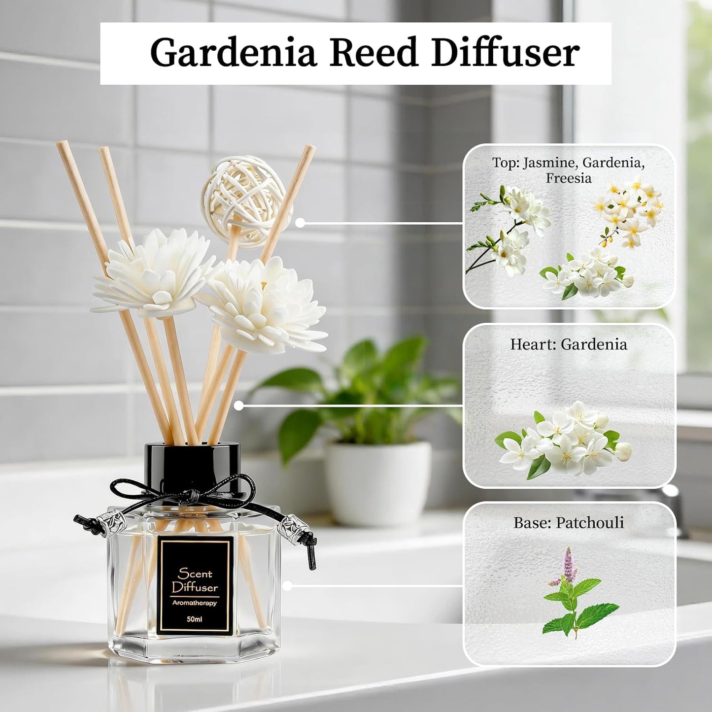 TonJin 2PCS Jasmine Reed Diffuser Set 1.7 fl oz with 6 Scent Sticks, Exotic Floral Home Fragrance, Natural Scented Oil Sticks for Bathroom, Living Room & Bedroom | Non-Toxic Air Freshener