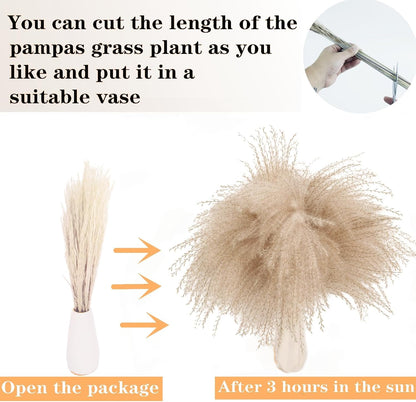 65PCS Pampas Grass Decor, Including pompas Floral, Reed Dried Grass and Bunny Tails Dried Flowers, Natural Dried Pampas Grass Bouquet for Boho Decor Wedding, Home Decoration