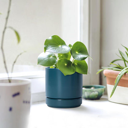D'vine Dev 6.5 Inch Ceramic Planter Pot with Drainage Hole and Saucer, Indoor Cylinder Round Planter Pot, Olive, 94-O-C-J