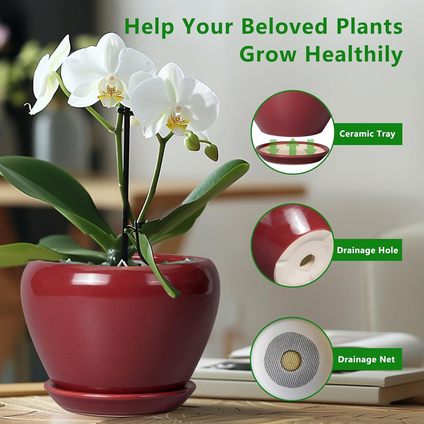Ceramic Modern Glaze Succulent Planter Pot with Drainage Hole and Saucer 6 Inch Round Flower Plant Pot for Indoor Outdoor Herb Snake Plants