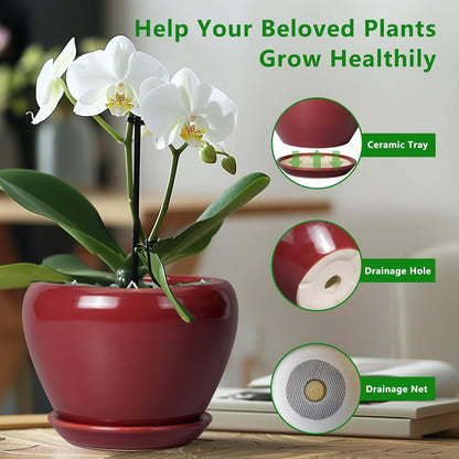 Ceramic Modern Glaze Succulent Planter Pot with Drainage Hole and Saucer 6 Inch Round Flower Plant Pot for Indoor Outdoor Herb Snake Plants
