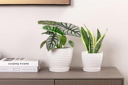 Docrin 3-Pack Ceramic Planters Set - 6.5"+5.3"+4" Dual-Tone Flower Pots with Drainage Holes, Modern Indoor Outdoor Planters for Succulents/Herbs/Large Plants, Home Office (Brownish Black & White)