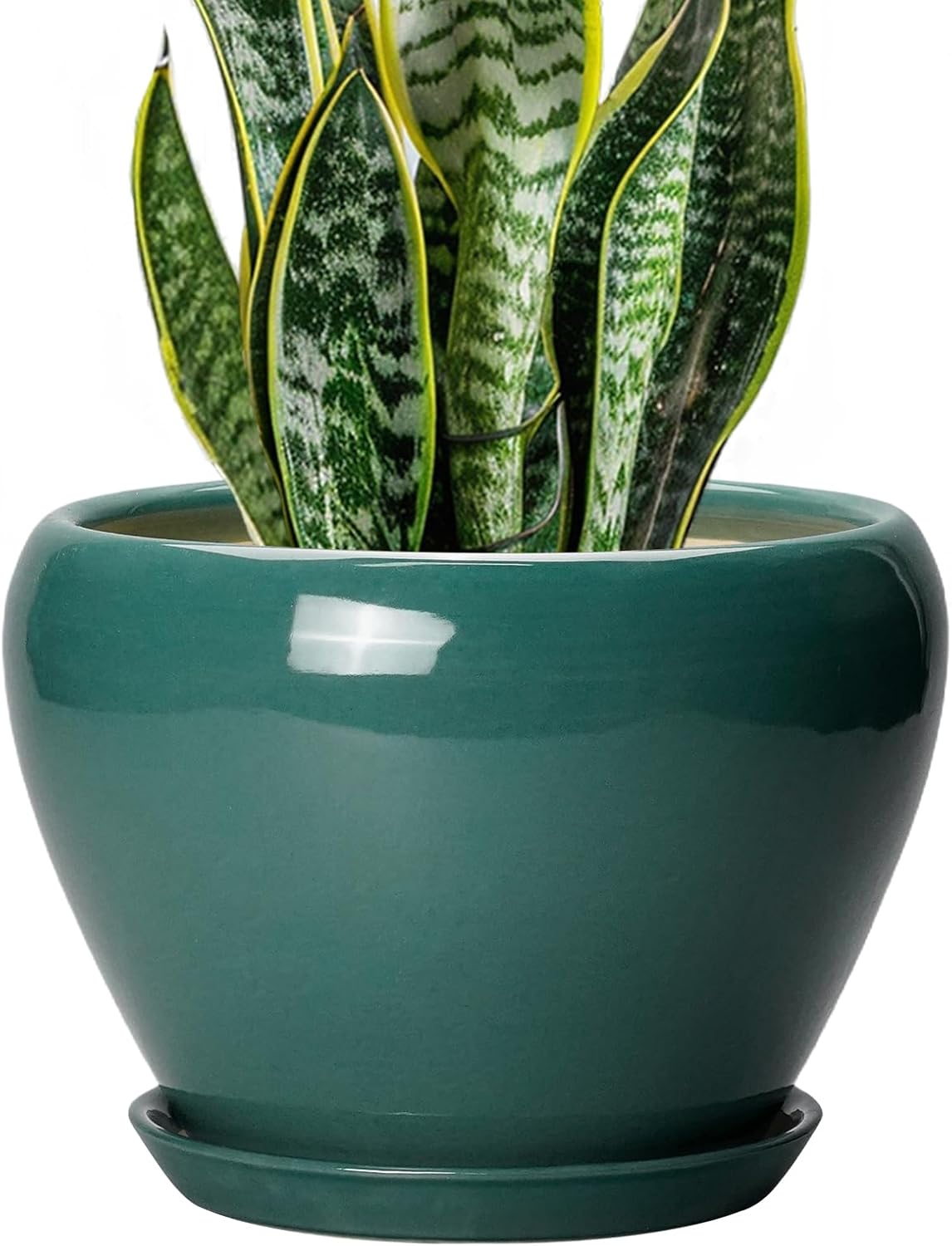 Ceramic Modern Glaze Succulent Planter Pot with Drainage Hole and Saucer 6 Inch Round Flower Plant Pot for Indoor Outdoor Herb Snake Plants