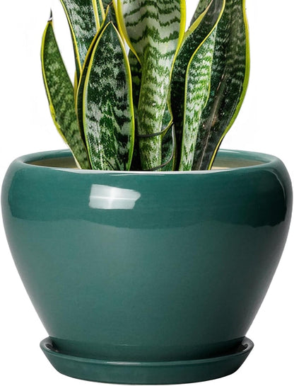 Ceramic Modern Glaze Succulent Planter Pot with Drainage Hole and Saucer 6 Inch Round Flower Plant Pot for Indoor Outdoor Herb Snake Plants