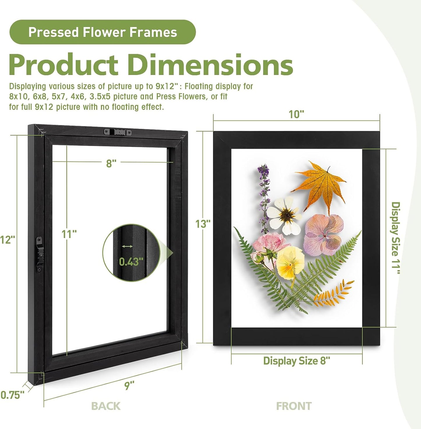 Golden State Art, 11X14 Floating Picture Frame, Black Wood Frame Display Any Size Photo Up To 11X14, Pressed Flower Frames with Hanging Hardware - Horizontal And Vertical Formats for Wall
