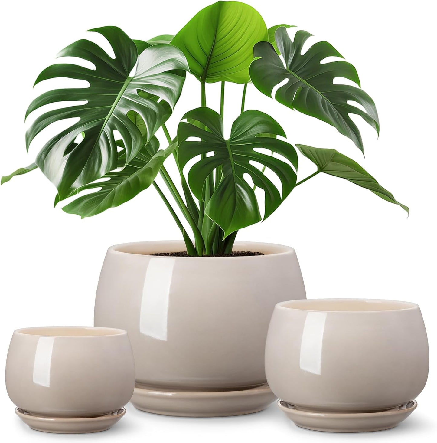 vancasso 3-Pack Ceramic Plant Pots, 3.7/4.8/6.2 Inch Indoor Planters with Saucers & Drainage Hole Planter pots for Indoor Plants and Flower, White
