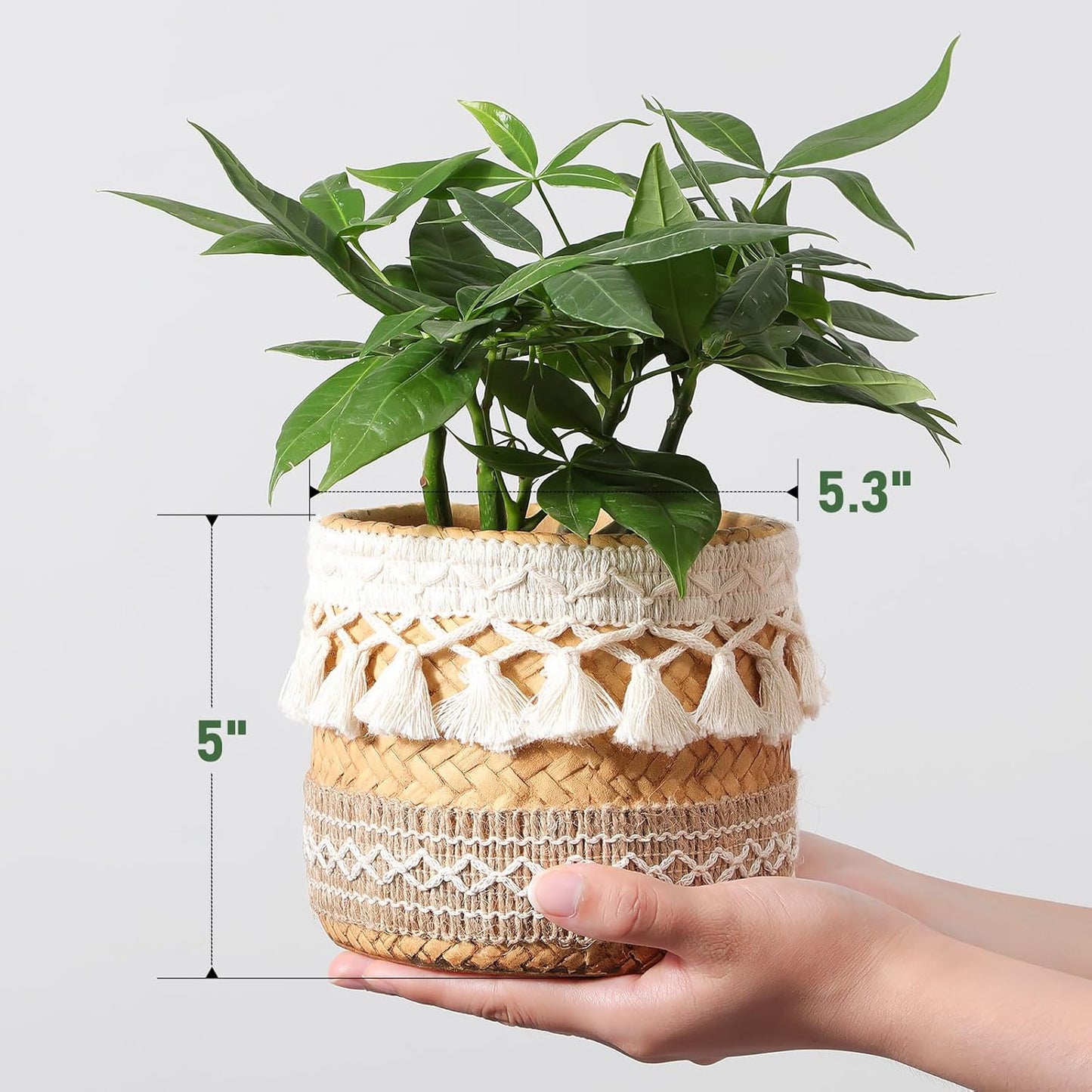 vomiceak Face Planter Pots Head, Planters for Indoor Plants - Double Cute Plant Pots for Flower & Succulent with Drainage Holes - Gift Ideas for Women (White Lady)