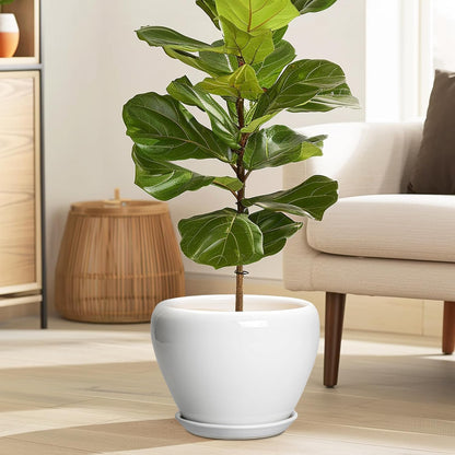 Ceramic Modern Glaze Succulent Planter Pot with Drainage Hole and Saucer 6 Inch Round Flower Plant Pot for Indoor Outdoor Herb Snake Plants