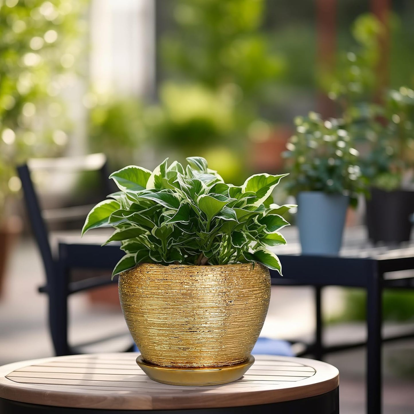 Ceramic Modern Glaze Succulent Planter Pot with Drainage Hole and Saucer 6 Inch Round Flower Plant Pot for Indoor Outdoor Herb Snake Plants